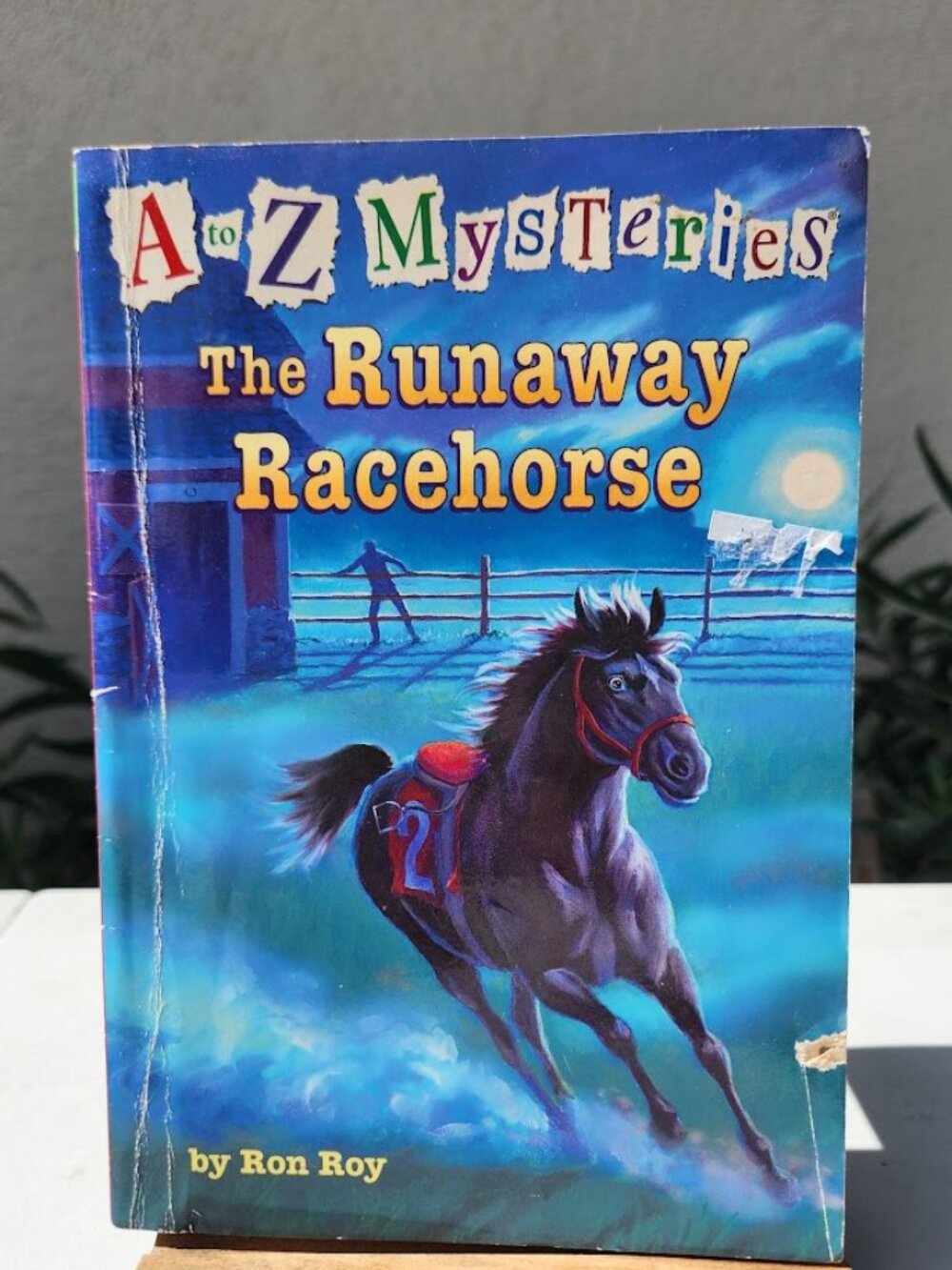The Runaway Racehorse A to Z Mysteries Paperback Book Novel Literature Chapter B